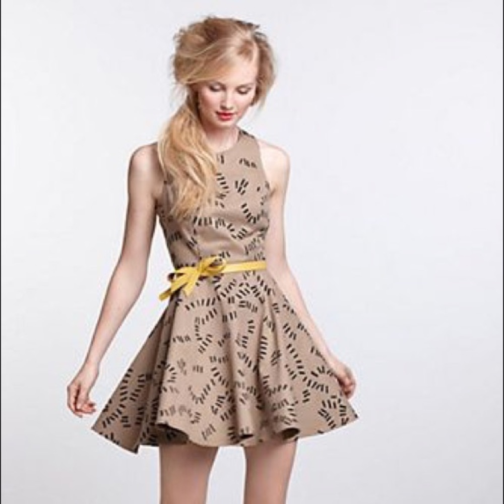 Anthropologie Trails Skater Dress